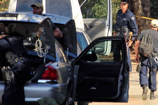 Tötungsdelikt: Polizisten sichern Spuren im Griffith Park in Los Angeles, wo der abgetrennte Kopf von Hervey Coronado Medellin gefunden wurde.