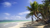 Erholung unter Palmen: Am Strand können Urlauber ihre Seele baumeln lassen.