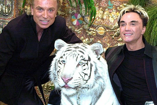 Siegfried und Roy: Die beiden schrieben als Zauberer Geschichte.