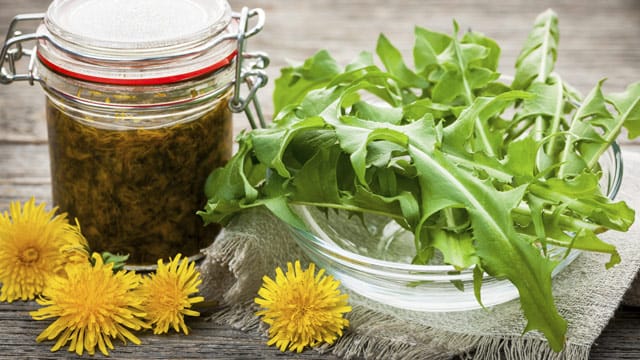 Löwenzahn kann mehr als nur gut aussehen. Auch als Salat macht er eine gute Figur