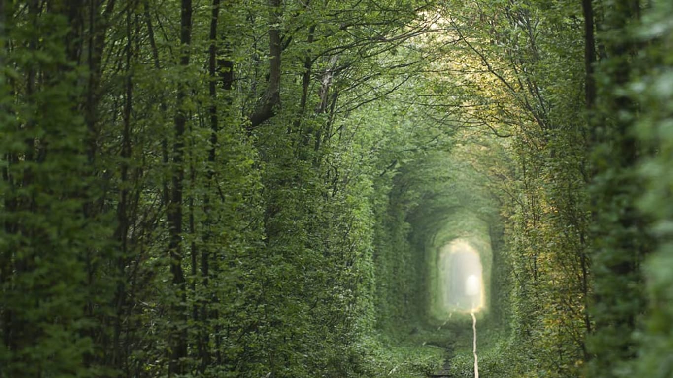 Dieser Tunnel ist dank einem glücklichen Zusammenspiel aus Natur und menschlichem Handeln entstanden.