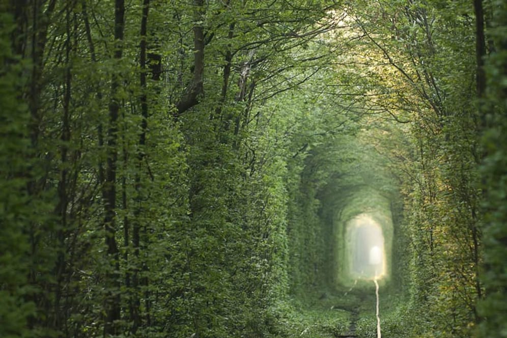 Dieser Tunnel ist dank einem glücklichen Zusammenspiel aus Natur und menschlichem Handeln entstanden.