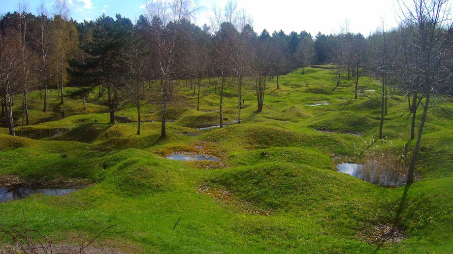 Verdun: Heute wächst Gras auf den Schlachtfeldern des Ersten Weltkriegs in Verdun. Aber die Idylle trügt. 100 Jahre später sind viele Böden immer noch durch chemische Kampfstoffe und Munition verseucht.