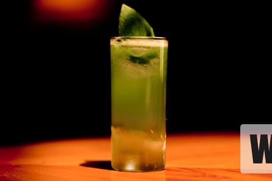 Selbst gemixt von Jörg Meyer: Ein Gin Basil Highball sorgt im Sommer für die ersehnte Erfrischung.