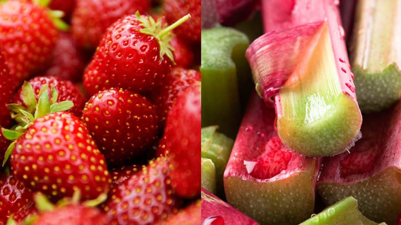 Süß-saures Duett: Erdbeeren und Rhabarber ergänzen sich gut.