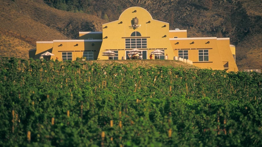 Das einzige von First Nations betriebene Weingut Kanadas: Den Osoyoos gehört die Nk'Mip Cellars Winery.