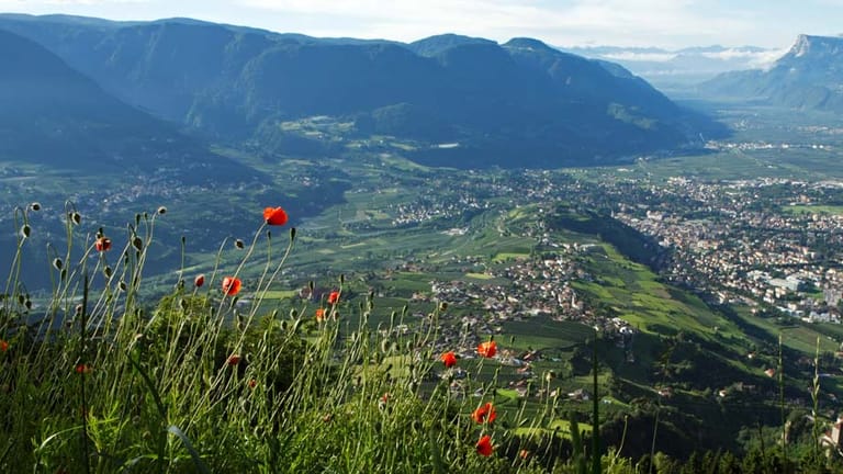 Liebliches Tal: Das milde Klima in Meran lockt auch heute noch Kur-Touristen an.