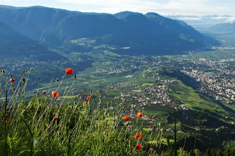 Liebliches Tal: Das milde Klima in Meran lockt auch heute noch Kur-Touristen an.