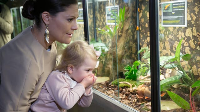 Prinzessin Victoria und Töchterchen Estelle sind ganz fasziniert von den Fröschen. Prinzessin Victoria und Töchterchen Estelle sind ganz fasziniert von den Fröschen.