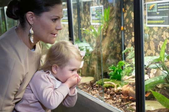 Prinzessin Victoria und Töchterchen Estelle sind ganz fasziniert von den Fröschen.
