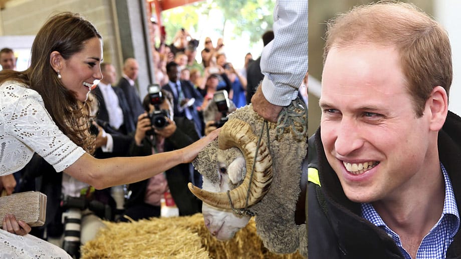 Kate streichelt dem Alpaka Fred zärtlich über den Kopf und denkt gleich mal an Williams lichtes Haupthaar. Ob da was zu machen ist?