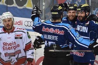 Die Ingolstädter jubeln über den Ausgleich in der DEL-Finalserie gegen Köln.