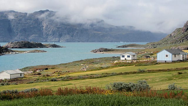 Idyllische Einsamkeit: Die Schaffarm von Agathe Devisme und Kalista Poulsen liegt direkt am Eriksfjord.