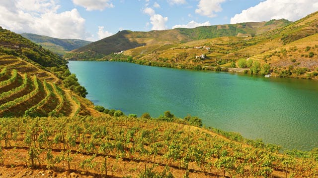 Aus der Landschaft am Douro kommt nicht nur der Portwein, sondern auch der beste Rotwein der Welt. Einer von zehn unschlagbaren Gründen, Portugal zu besuchen!