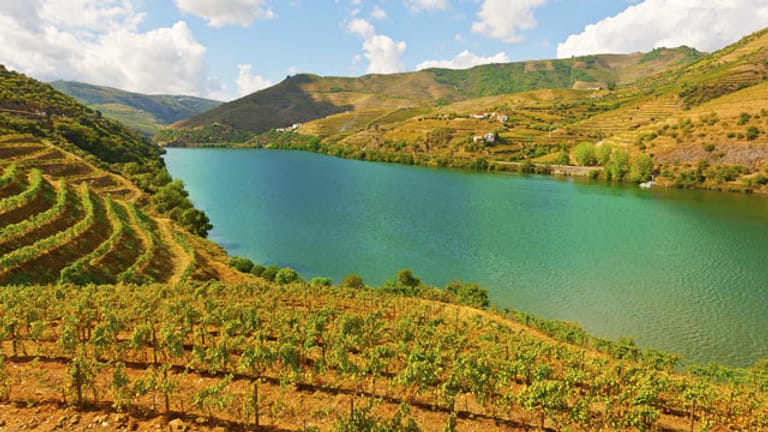Aus der Landschaft am Douro kommt nicht nur der Portwein, sondern auch der beste Rotwein der Welt. Einer von zehn unschlagbaren Gründen, Portugal zu besuchen!