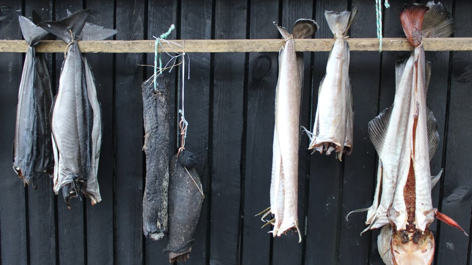 Fisch ist auf den Färöer Inseln ein Grundnahrungsmittel - ob frisch oder getrocknet, es gibt ihn in vielen Varianten.