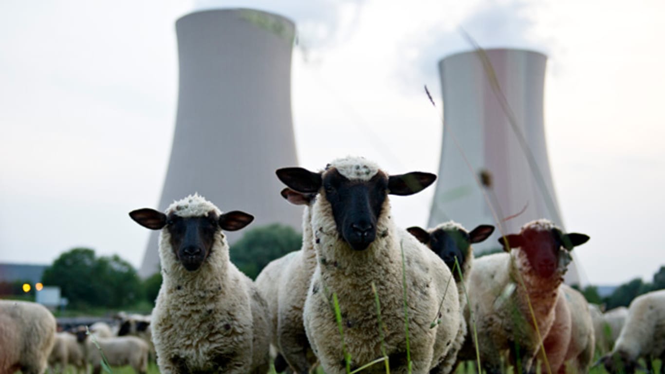 Wer zahlt, damit Atomkraftwerke aus der Landschaft verschwinden? Die Energieriesen wollen diese Last offenbar loswerden
