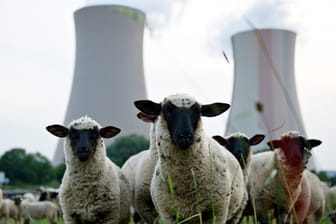 Wer zahlt, damit Atomkraftwerke aus der Landschaft verschwinden? Die Energieriesen wollen diese Last offenbar loswerden