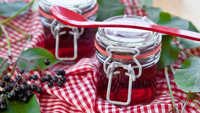 Aus Holunderbeeren und -blüten kann man leckere Marmelade oder Gelee herstellen.