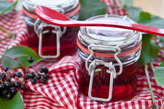 Aus Holunderbeeren und -blüten kann man leckere Marmelade oder Gelee herstellen.