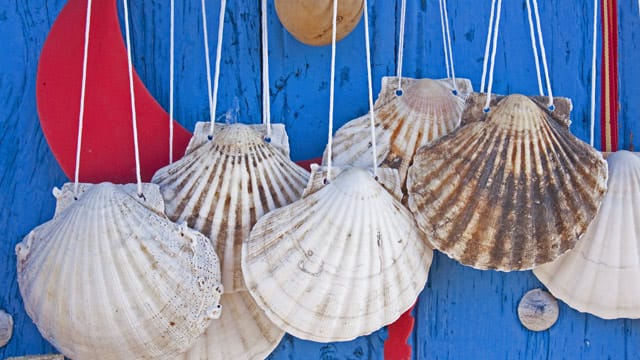 Seit dem heiligen Jakobus sind diese Muscheln das Symbol für die Pilgerreise