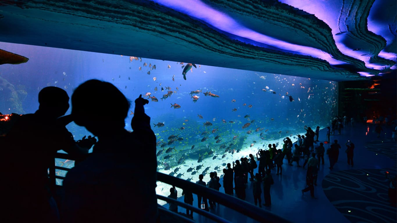 Blick auf das Aquarium im Themenpark "Chimelong Ocean Kingdom" in der chinesischen Provinz Guangdong.