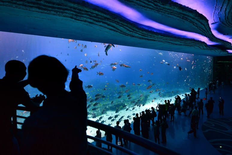 Blick auf das Aquarium im Themenpark "Chimelong Ocean Kingdom" in der chinesischen Provinz Guangdong.