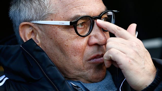 Felix Magath wünscht sich mehr Euphorie rund um die Nationalmannschaft.