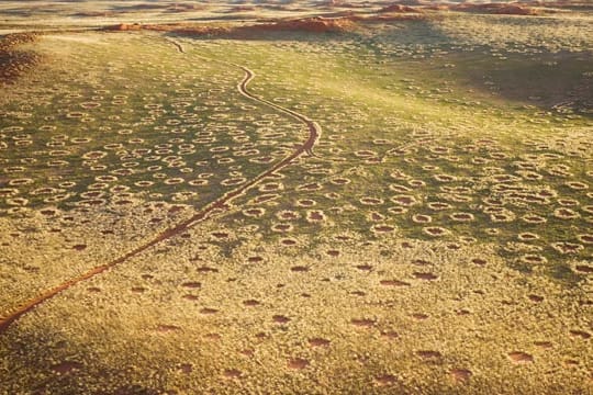 Feenkreise in der Namibwüste in Namibia.