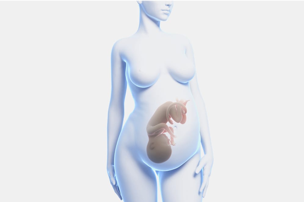 Ein Ungeborenes kommt im Mutterleib möglicherweise früher mit Bakterien in Kontakt als gedacht.