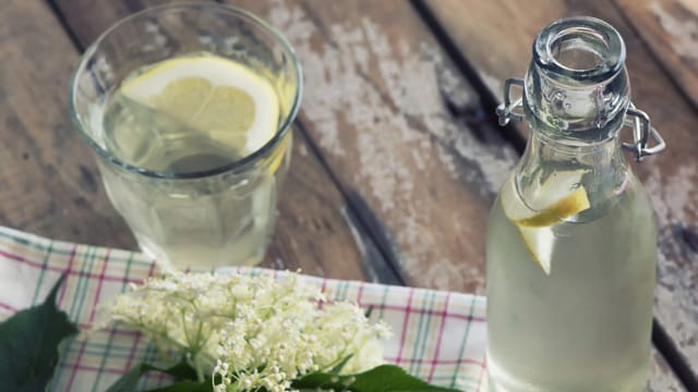 Holunderlimonade ist lecker und ganz einfach herzustellen