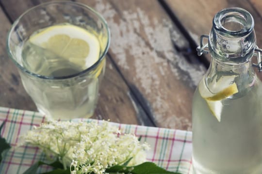 Holunderlimonade ist lecker und ganz einfach herzustellen