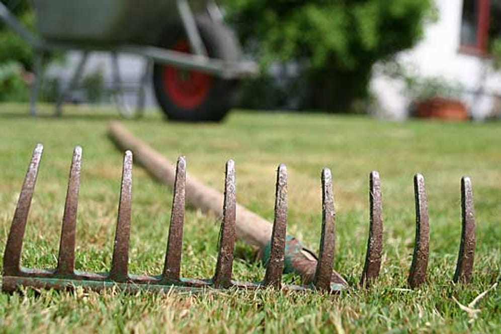 Bei der Gartenarbeit ist die Harke ein unverzichtbares Werkzeug.