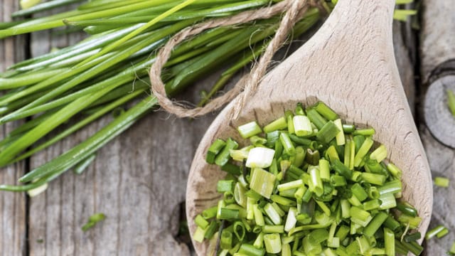 Schnittlauch ist nicht nur lecker, sondern auch reich an Vitaminen, Mineralstoffen und ätherischen Ölen