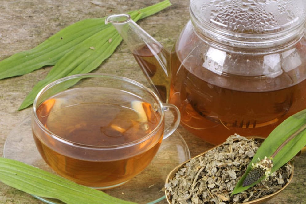 Spitzwegerich-Tee gilt als wirksames Hausmittel bei Husten
