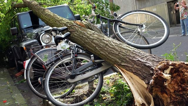 Schwere Gewitter hinterließen in der Nacht zum Dienstag eine Schneise der Verwüstung in Nordrhein-Westfalen.