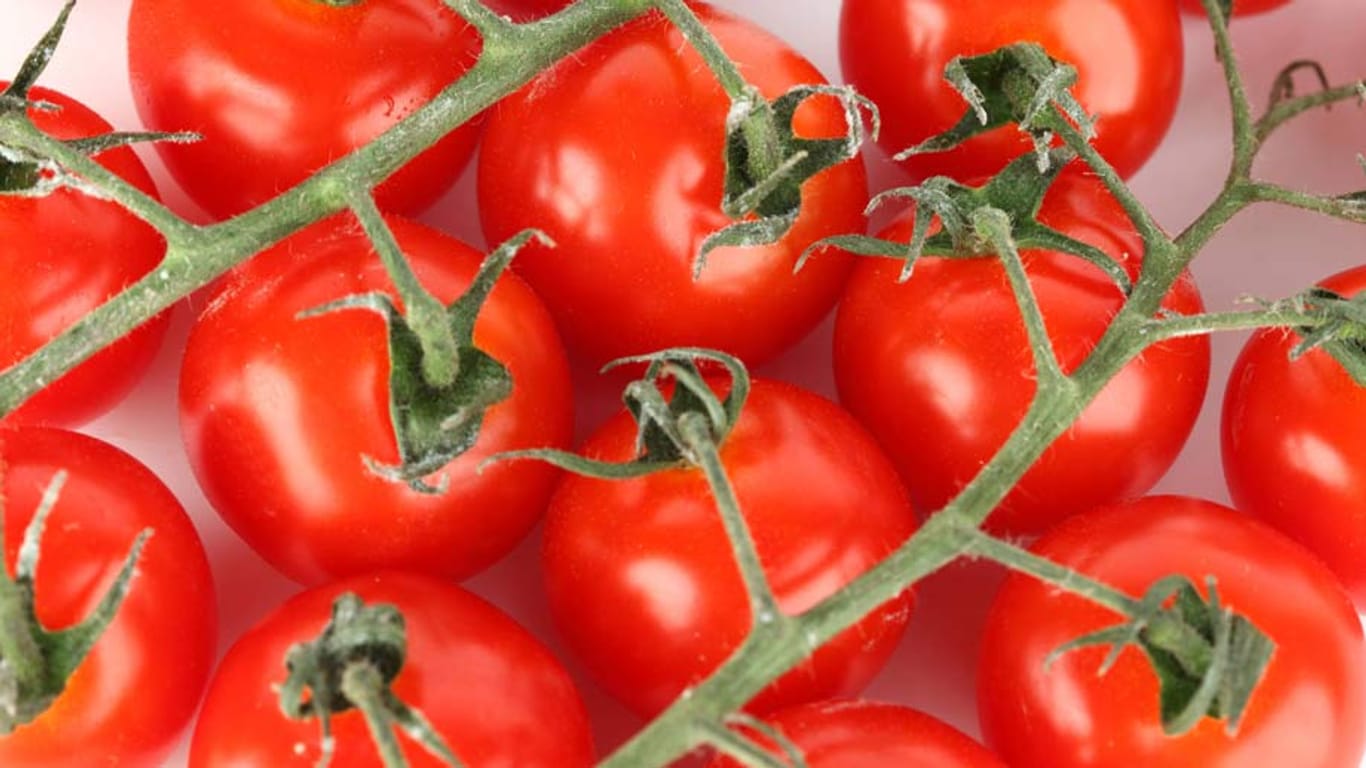Das in Tomaten reichlich enthaltene Lycopin schützt die Gefäße. Eine Studie belegt, dass der Wirkstoff auch in Pillenform effektiv ist.