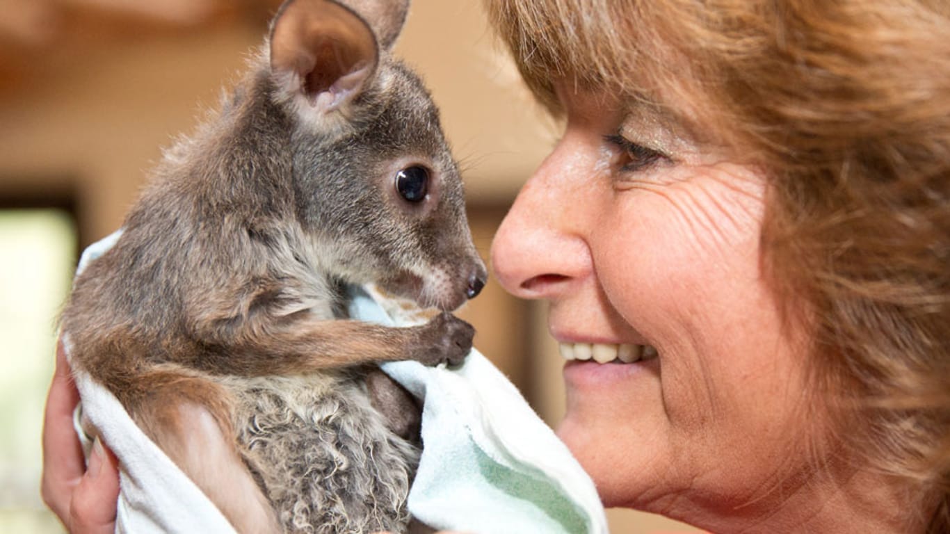 Wie süß: Das kleine Kängurubaby mit dem witzigen Namen E.T. kuschelt mit seiner Ersatz-Mutter Biga Kruse.