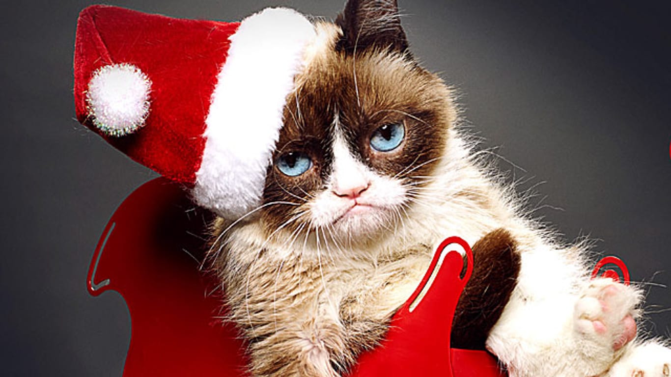 In ihrem Film "Grumpy Cat's Worst Christmas Ever" tut Grumpy Cat das, was sie am besten kann: Reichlich grimmig gucken.