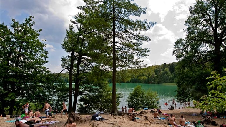 Der Liepnitzsee ist einer der saubersten Seen in Brandenburg. Ganze fünf Meter reicht die Sicht in dem klaren Wasser.