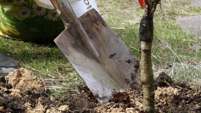 Bei der Auswahl des Gartenwerkzeugs sollte man ein paar Qualitätskriterien beachten.