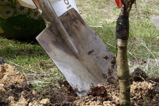 Bei der Auswahl des Gartenwerkzeugs sollte man ein paar Qualitätskriterien beachten.