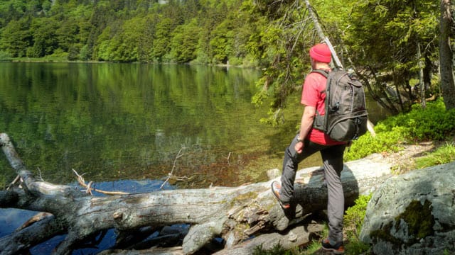 Ein geschützter Natur-See im Schwarzwald, dessen Besuch bei einem Urlaub in der Region nicht fehlen darf: der idyllische Feldsee am Fuße des Feldbergs.