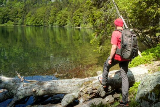 Ein geschützter Natur-See im Schwarzwald, dessen Besuch bei einem Urlaub in der Region nicht fehlen darf: der idyllische Feldsee am Fuße des Feldbergs.