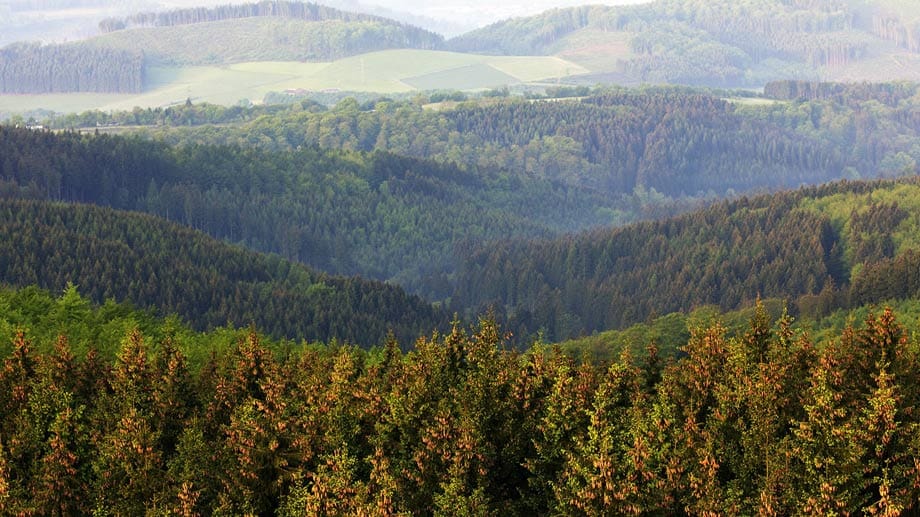Ein typischer Ausblick über das Sauerland. Hier im Bild: der Arnsberger Wald, der mit zahlreichen Wegen und Pfaden lockt.