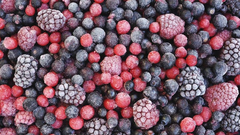 Gefrorene Beeren: Die einfachste Möglichkeit Obst lange haltbar zu machen ist das Einfrieren. Ratsam ist es, das Obst zunächst auf einem Tablett verstreut anzufrieren und es erst dann in eine Gefriertüte oder ein Behältnis zu tun. So kleben die Früchte nicht aneinander und man kann sie beim Herausnehmen leichter dosieren.
