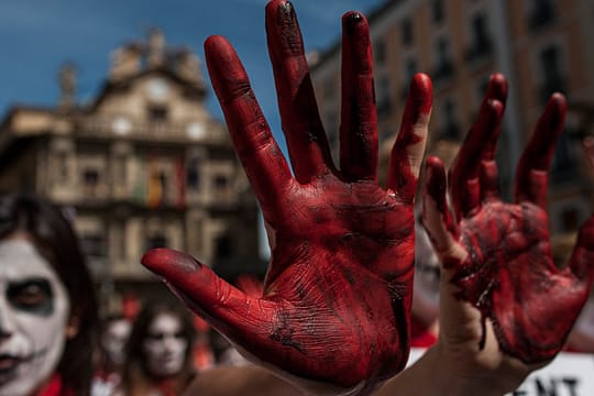 Proteste gegen Stierhatz in Pamplona