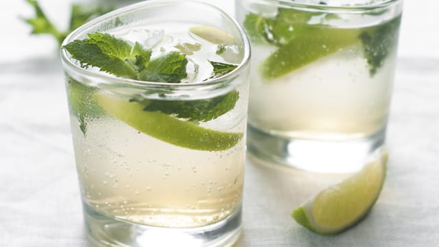 Gerade im Sommer bietet sich der Mojito als erfrischender Cocktail an