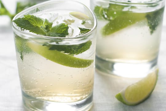 Gerade im Sommer bietet sich der Mojito als erfrischender Cocktail an