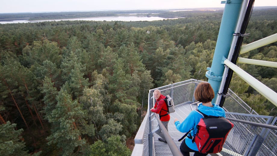 Der Käflingsbergturm bietet einen fantastischen Ausblick über die Wälder und Seen des Müritz-Nationalparks, Mecklenburgische Seenplatte.
